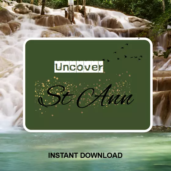 Thrills & Spills: Your St. Ann Travel Guide
