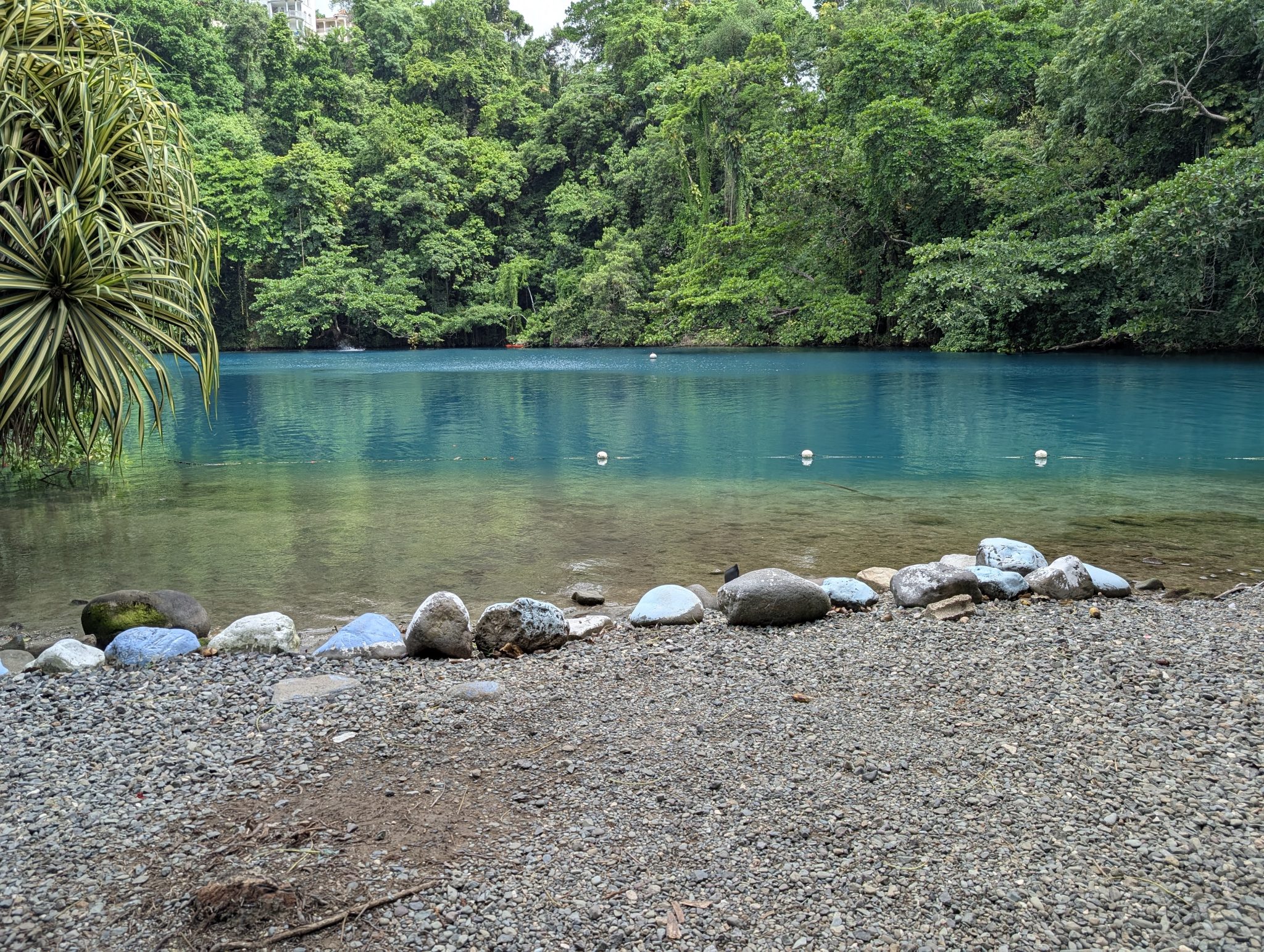 Blue Lagoon Jamaica: The Ultimate Guide to Portland’s Hidden Paradise ...
