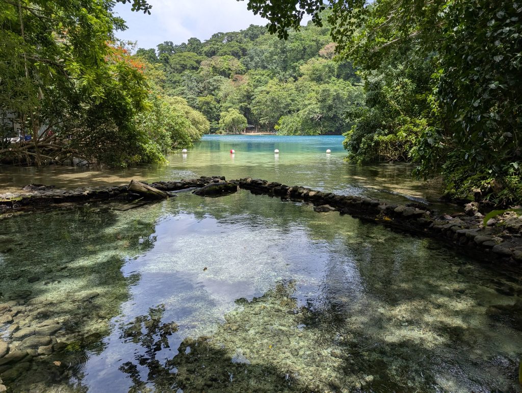 Scenic view of Blue Lagoon Jamaica, Portland Parish – where freshwater meets saltwater.