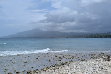 Whispering Bamboo Cove Resort in St. Thomas Jamaica with coastal views.