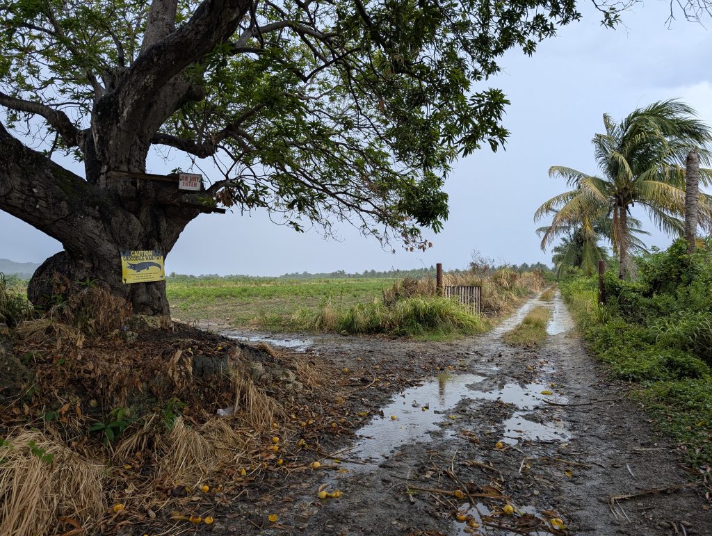 Landscape view of the historic Holland Estate grounds at Holland Bay Crocodile Sanctuary in St. Thomas, Jamaica.