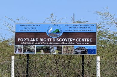 Portland Bight Protected Area in Clarendon, Jamaica’s largest nature reserve