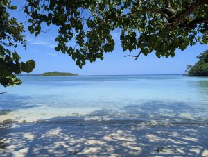 Half Moon Beach Hanover: Jamaica’s Secret Paradise (No Crowds!)