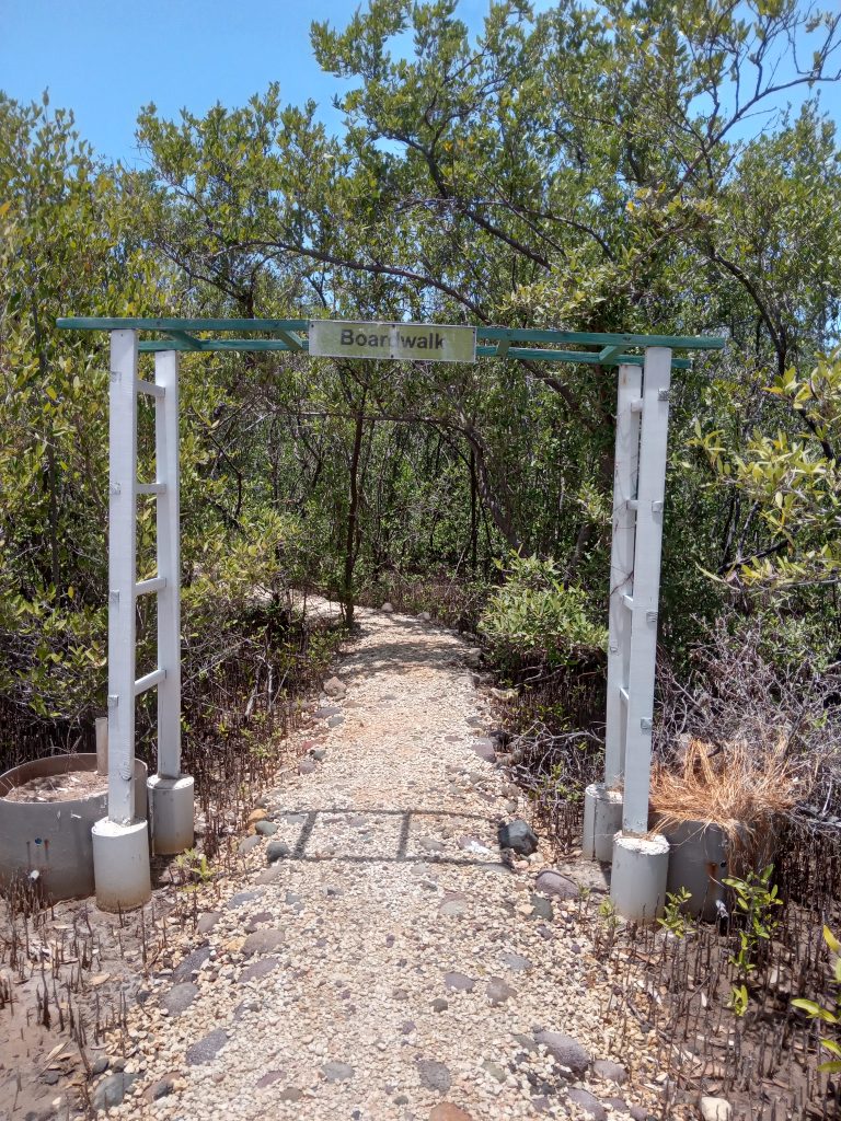Nature trail through dry forest at Portland Bight Centre Jamaica