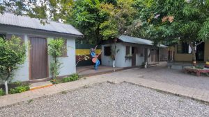 10 Epic Things to Do in Kingston Jamaica You Can’t Miss!