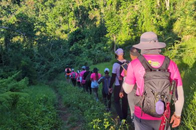 Hikers at Pink Trek Manchester overlooking Heron Hill and Mud Lake