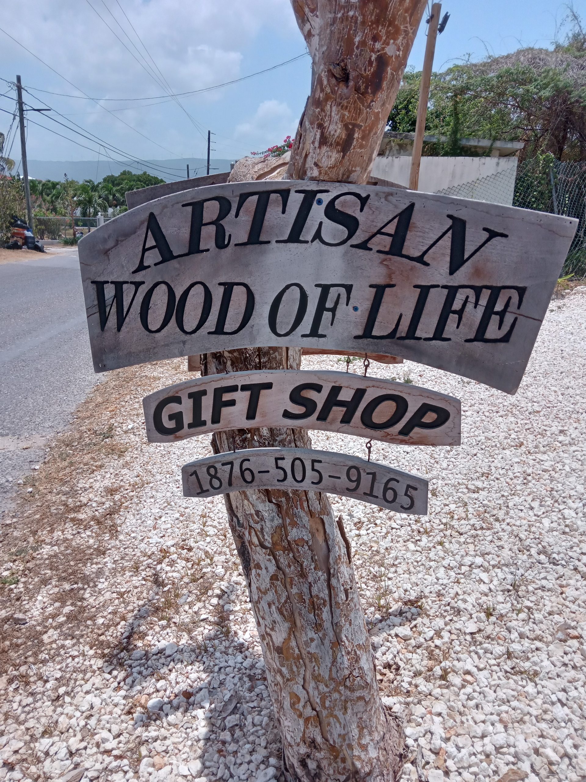 Artisan Wood of Life gift shop in Treasure Beach St Elizabeth Jamaica