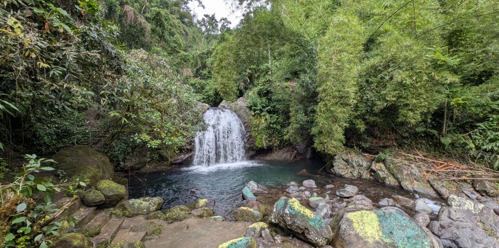 Fish Dunn Falls cascading into natural pool in Portland Jamaica

