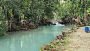 Spring Paradise, St. Ann: The River Retreat Most People Have Never Heard Of