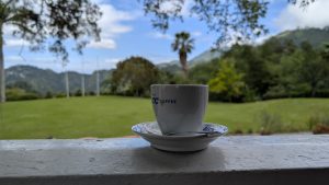 A Day in the Hills of St. Andrew: Coffee, Riverside Dining, and a Waterfall You Will Never Forget