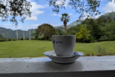 Fresh Blue Mountain coffee served overlooking the mountains in St Andrew Jamaica
