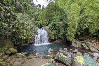 Fish Dunn Falls waterfall cascading into a natural pool in Portland Jamaica