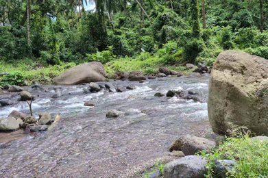 Natural waterfall pool at Pin'kra River in St. Mary, Jamaica surrounded by lush tropical vegetation.