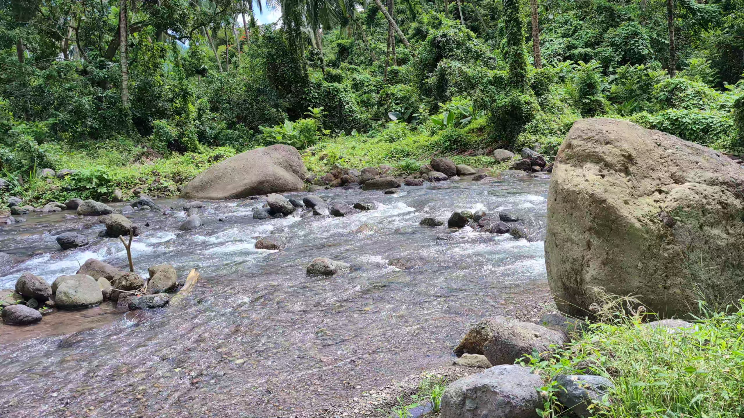 Natural waterfall pool at Pin'kra River in St. Mary, Jamaica surrounded by lush tropical vegetation.