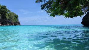 Portland Tour – Reach Falls & Frenchman Cove Beach
